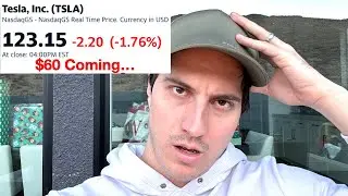 Chicken says Tesla Stock is Going to $60.. My Thoughts