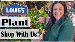 Lowes Shop With Us #plants #shopping #lowes #shopwithme #new #houseplant #bigbox #clearance