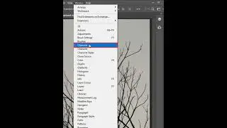 Remove Background Photoshop || Erase Background || #BestPhotoshoptrick #adobephotoshop #shorts