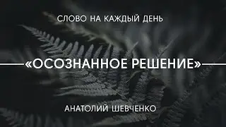 Осознанное решение | Анатолий Шевченко