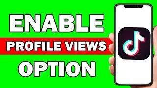 How To Enable Tiktok Profile Views Option | Turn On Profile View History In Tiktok