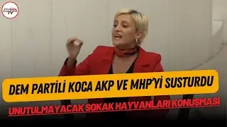 DEM Partili Perihan Koca’dan AKP ve MHP sıralarını sessizliğe boğan 'sokak hayvanları' konuşması