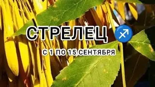 СТРЕЛЕЦ ♐ таро прогноз с 1 по 15 сентября &SAGITTARIUS forecast from September 1 to September 15