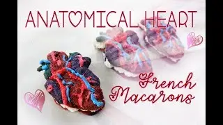 How to Make ❤️RED VELVET ANATOMICAL HEART MACARONS!❤️