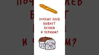 Почему ХЛЕБ черный и белый? — Научпок #shorts