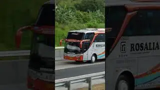 Bus Rosalia Indah #bus #automobile #busmania #buspariwisata #busjourney #bustravel #busholic
