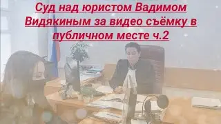 Суд над юристом Вадимом Видякиным за видео съёмку в публичном месте ч.2