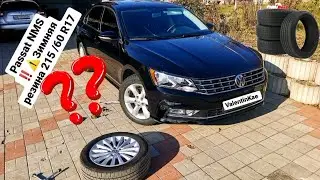 Влезет или нет? 215/60 R17 Зимняя резина Passat B7 B8 NMS