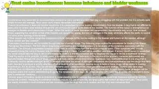 How to : Treat canine incontinence: hormone imbalance and bladder weakness