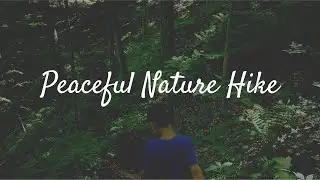 Peaceful Nature Walk