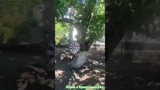 Любимый дом - прекрасный Крым. Я уже начала восстанавливаться воскресать, новая жизнь.