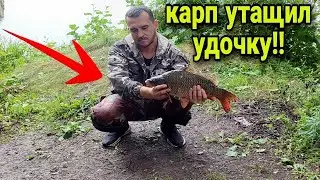 КАРПЫ ВОРУЮТ УДОЧКИ !!! Водоем кишит РЫБОЙ. Рыбалка с ночевкой