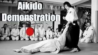 Aikido Demonstration / Randori Multiple Attackers