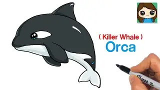 How to Draw an Orca | Killer Whale