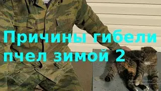 Причины гибели пчел 2