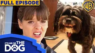 It's Me or The Dog USA | Season 1 Episode 17 | Warner Bros. TV