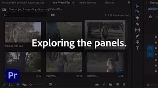 Exploring the Panels workspace | Adobe Premiere Pro