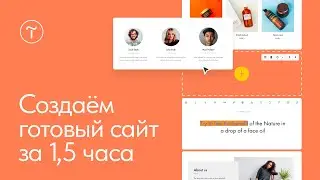 Создание сайта no-code. Начало работы