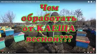 ЧЕМ ОБРАБОТАТЬ ПЧЁЛ ОТ КЛЕЩА РАННЕЙ ВЕСНОЙ, ХИМИЯ, КИСЛОТЫ, ЭФИРНЫЕ МАСЛА