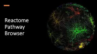 Reactome Pathway Browser