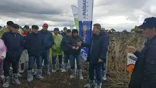 О технологии выращивания подсолнечника Агростандарт ООО