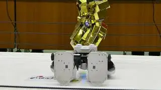 ナガレゴールド vs バイオニクサー 第1回プラレス大会 2017/8/19