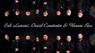 Ork Luminii ❌ David Constantin ❌ Florans Roa - Stau si beau in batatura | Official Video