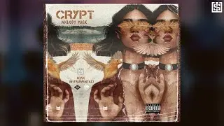 [+9] FREE SAMPLE PACK 