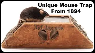 This Unique Mouse Trap From 1894 Is Packed Full Of Mice. Mousetrap Monday