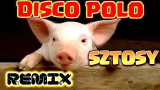 🔥DISCO POLO 🔥DANCE🔥SZTOSY🔥REMIX2025🔥