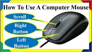 How To Use A Computer Mouse Properly ।। Use Of Computer Mouse