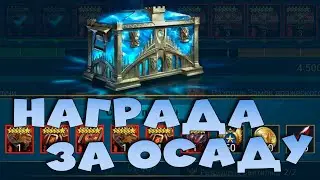 🔴Закончилась осада! Забираю топовый сундук с новым сетом. RAID Shadow Legends