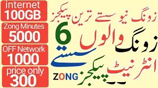 Zong 100GB internet package/Zong 60GB internet package/Zong internet package/Zong/Zameer 91 channel