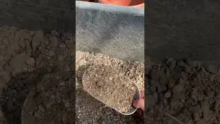 ГРУНТ ДЛЯ КАКТУСОВ И СУККУЛЕНТОВ. ОСНОВНЫЕ КОМПОНЕНТЫ И ПРИНЦИПЫ