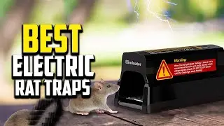 🔶Top 10 Best Electric Rat Traps 2023 Reviews