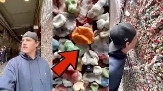 So happy I found his gum... 😋  - 
