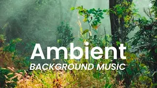 Ambience background music no copyright | Copyright free ambient background music