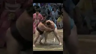 Битва гигантов Shishi vs Цуругисё Нагоя 2024 