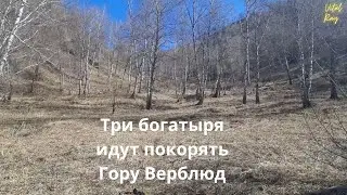 Три чудо богатыря идут покорять  гору Верблюд