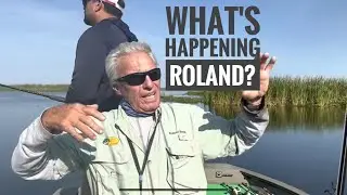 What's Happening Roland?