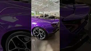 Lamborghini Revuelto PURPLE BULL at Lamborghini Miami