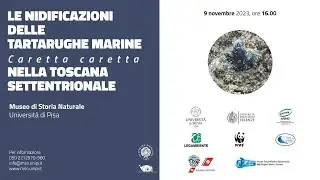 Le nidificazioni delle tartarughe marine Caretta caretta nella Toscana settentrionale