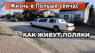 Жизнь в Польше сегодня 2023. Работа водителем в Европе. Дальнобой на бусе. Польша сейчас