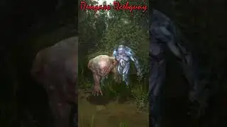 БИБЛИОТЕКАРЬ ГРОМОЗЕКА ДАЛ ПЕНДАЛЯ ПСЕВДОГИГАНТУ - Сталкер ОП 2.2 Mod Pack LSC short 