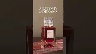 Anatomy of Dreams: Sogno in Rosso