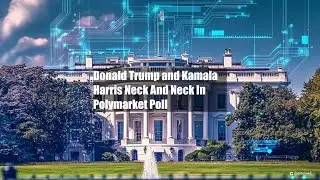 Donald Trump and Kamala Harris Neck And Neck In Polymarket Poll