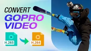 Convert GoPro HEVC H.265 to H.264 in the Best Way