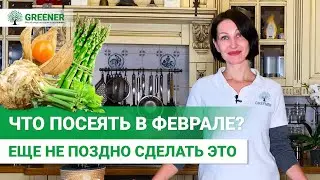 ОБЯЗАТЕЛЬНО СЕЕМ это в феврале. Лучшие семена цветов и овощей для посева!