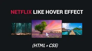 Netflix Like Hover Effect | HTML CSS | Easy