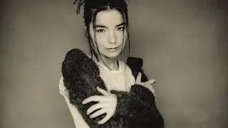 björk : human behaviour [surrounded]